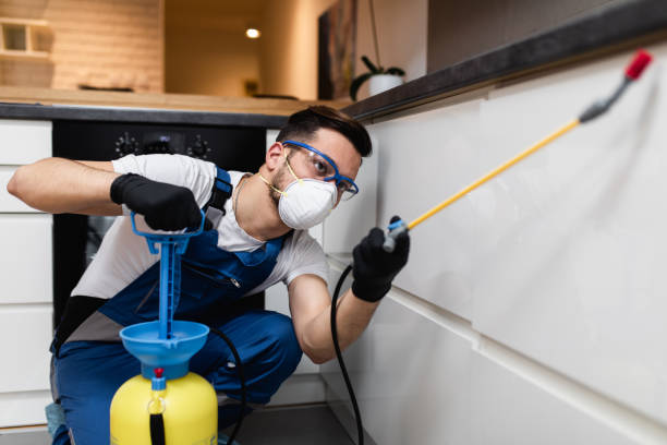Best Bed Bug Extermination  in Whitewater, WI