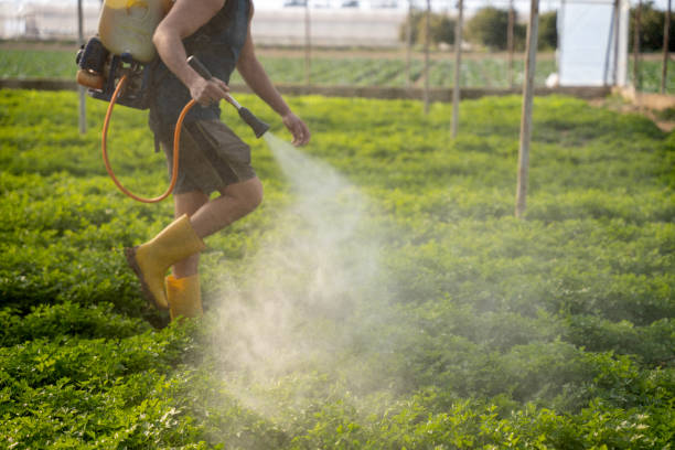 Best Best Pest Control Companies  in Whitewater, WI