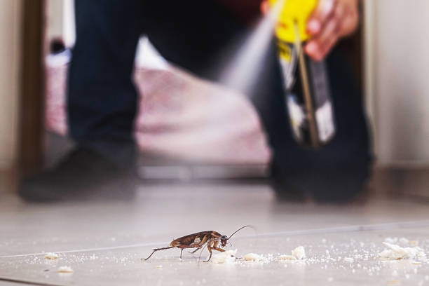 Best Local Pest Control Services  in Whitewater, WI