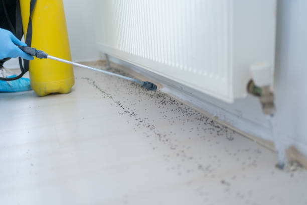 Best Pest Prevention Services  in Whitewater, WI