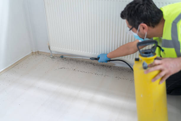 Best Flea Control Services  in Whitewater, WI
