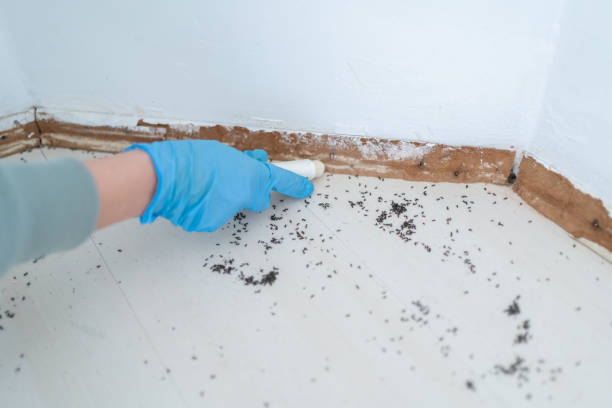 Best Wildlife Control Services  in Whitewater, WI