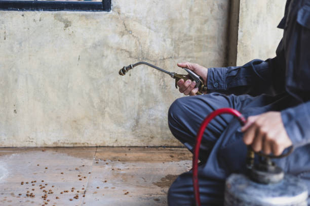 Best Pest Inspection Near Me  in Whitewater, WI